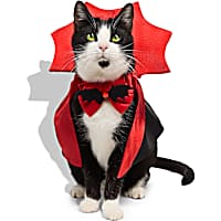Petco Dracula Vampire Cat Halloween Costume