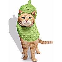 Petco Pickle Cat Halloween Costume