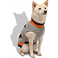 Petco Happy Halloween Witches Pet Sweater