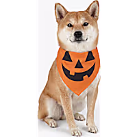 Petco Pumpkin Pet Halloween Bandana