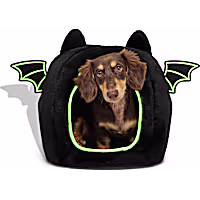 Petco Halloween Bat Cat Bed