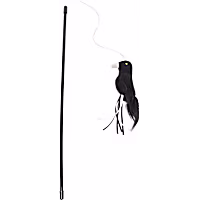Petco Halloween Raven Teaser Cat Toy
