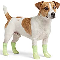 Petco Glow in the Dark Dog Socks