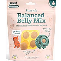 Woof Pupsicle Treat Mix Pumpkin Balanced Belly Lickable Dog Treat