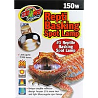 Bearded top dragon lamp