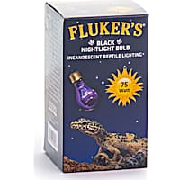 Fluker's Black Nightlight Bulb
