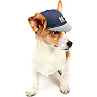 Pets First MLB Pet Cap