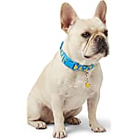 Petco Ducky Dog Collar