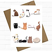 Sweet Paws x Five Dot Post Cat Faces Greeting Card