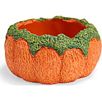 Petco Halloween Pumpkin Reptile Dish