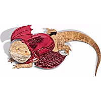 Petco Devil Bearded Dragon Pet Halloween Costume