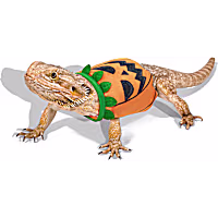 Petco Pumpkin Bearded Dragon Pet Halloween Costume