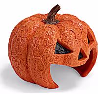 Petco Halloween Jack-o-Lantern Reptile Habitat Hideaway