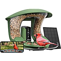 Birdfy Feeder 2 Smart Bird Feeder with Camera, AI Recognition