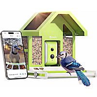 Birdfy Metal Bird Feeder with Camera Squirrel Proof, Solar Powered