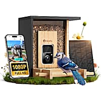 Birdfy Black Bamboo Smart Bird Feeder with Camera Solar Powered