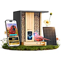 Birdfy Bamboo Smart Bird Feeder with Camera AI Lifetime Free Solar Powered