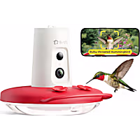 Birdfy Humming Bird Feeder with Camera, Motion Detection