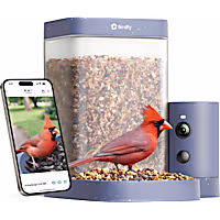 Birdfy Rookie Smart Bird Feeder with Camera, Slow Motion and Dual Night Vision