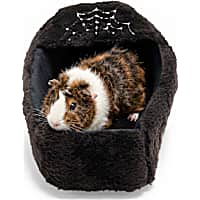 Petco Halloween Coffin Bed for Small Animals