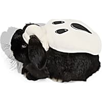 Petco Halloween Ghost Rabbit Costume