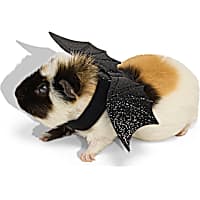 Petco Halloween Bat Wings Small Animal Costume