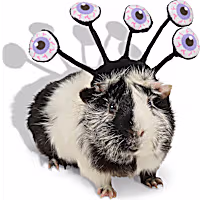 Petco Halloween Monster Small Animal Headpiece