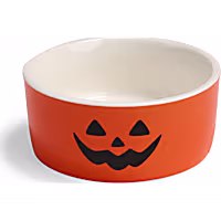 Petco Halloween Jack-o-Lantern Small Animal Food & Water Bowl