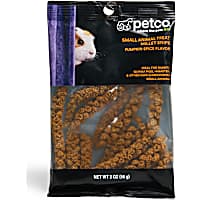 Petco Halloween Pumpkin Spice Flavor Millet Snips Small Animal Treats