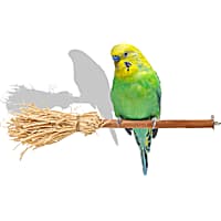 Petco Halloween Witch's Broom Bird Perch
