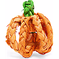 Petco Halloween Pumpkin-Shaped Raffia Bird Toy