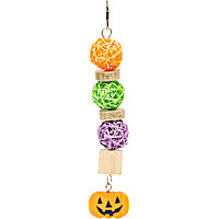 Petco Halloween Jack-o-Lantern Hanging Bird Toy