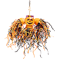 Petco Halloween Jack-o-Lantern Foraging Bird Toy
