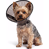 Well & Good Lightweight Recovery Cone Collar for Dogs