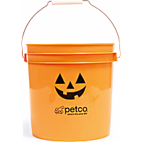 Petco Halloween Pumpkin Bucket with Lid