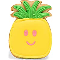 Petco Pineapple Flavor Hand-Decorated Dog Treats