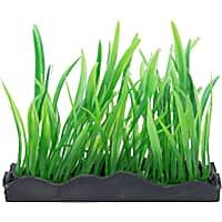 Penn Plax Tide & Treasure Aquascaping Plants Hairgrass