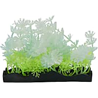 Penn Plax Tide & Treasure Glow Plants PDQ