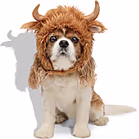 Petco Highland Cow Pet Costume Headpiece