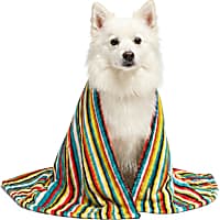 Petco Color Striped Pet Throw Blanket