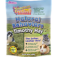 Brown's Tropical Carnival Natural Behaviors Timothy Hay