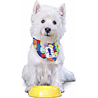 FIFA WC26 PawSwag Dog Bandana