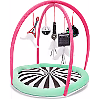 Petco Interactive Playmat with Dangling Toys for Cats
