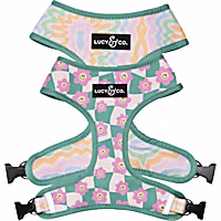 Lucy & Co. Just Chill Reversible Dog Harness
