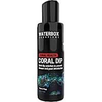 Waterbox Coral Dip
