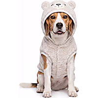 Petco Teddy Bear Character Pet Hoodie