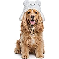 Petco Fuzzy Bear Character Pet Hat