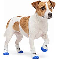 Petco White Bear Fuzzy Pet Socks