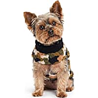 Petco Camo/Brown Reversible Pet Cozy Coat