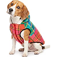 Petco Multicolor Plaid Hooded Pet Jacket